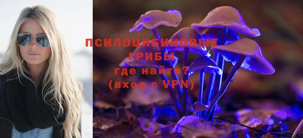 ПСИЛОЦИБИНОВЫЕ ГРИБЫ Балабаново