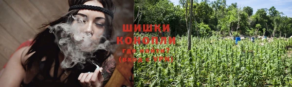 ПСИЛОЦИБИНОВЫЕ ГРИБЫ Балабаново