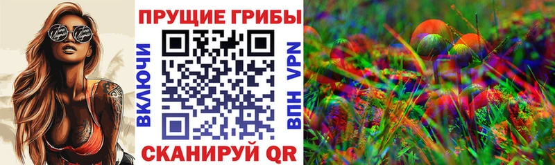 Галлюциногенные грибы мухоморы  Купить закладки  Чебоксары 